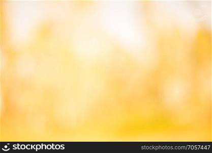 Abstract image yellow blur for background,Yellow background Gradient For design