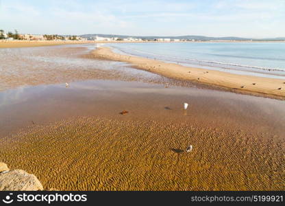 abstract in morocco sea africa ocean wave and lanscape