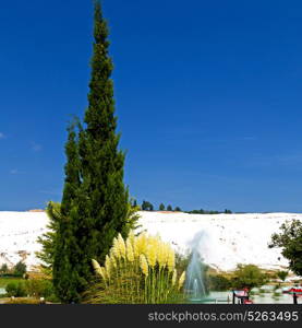 abstract in pamukkale turkey asia the old calcium bath and travertine water