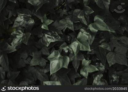 abstract ivy leaves background