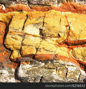 abstract lanzarote spain texture of a broke stone and lichens