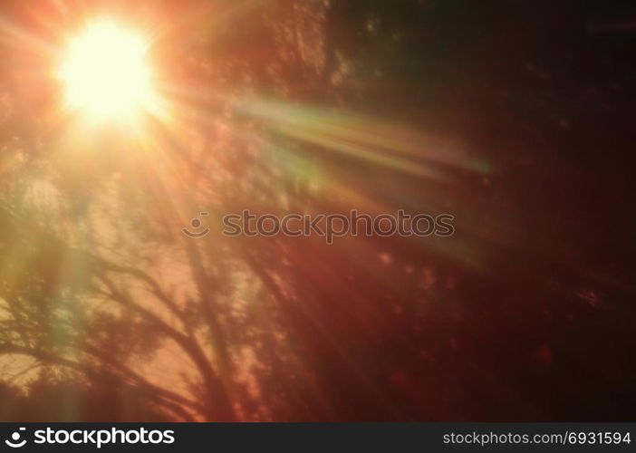 Abstract lo-fi blur sun shining through dense forest vegetation. Colorful lens flare.