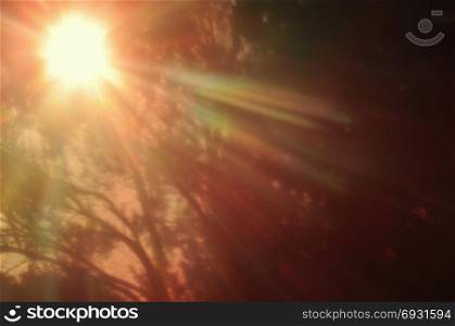 Abstract lo-fi blur sun shining through dense forest vegetation. Colorful lens flare.