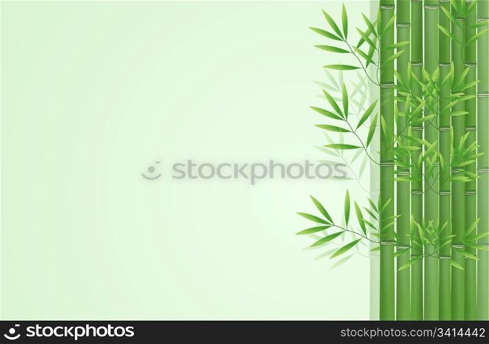 Abstract lucky bamboo background