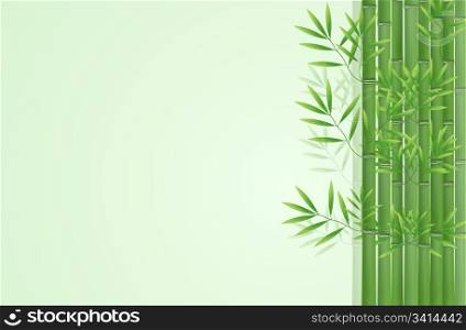 Abstract lucky bamboo background