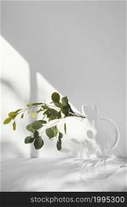 abstract minimal concept plant shadows