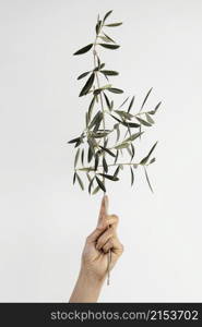 abstract minimal plant being help hand