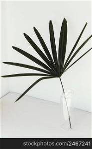 abstract minimal plant leaf