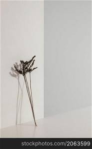 abstract minimal plant leaning wall copy space