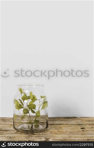 abstract minimal plant pot copy space