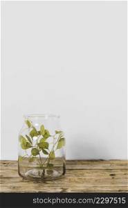 abstract minimal plant pot copy space