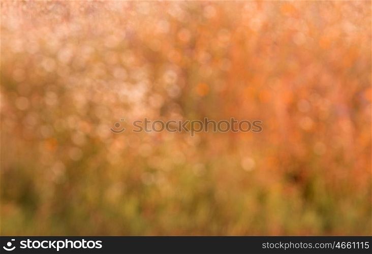 Abstract natural backgrounds grass in gold for wallpaper