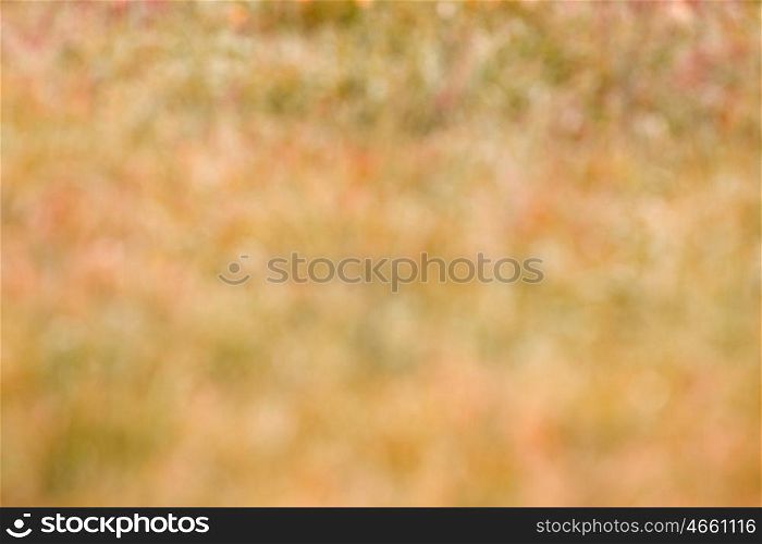 Abstract natural backgrounds grass in gold for wallpaper