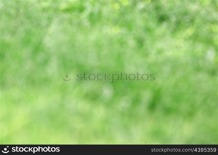 Abstract natural backgrounds grass in green for wallpaper