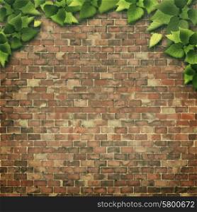 Abstract natural backgrounds. Green foliage over brick wall
