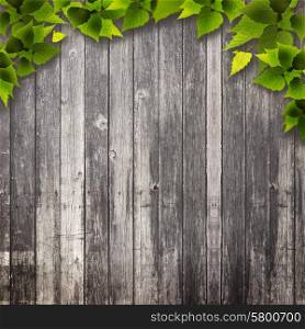 Abstract natural backgrounds. Green foliage over wooden wall