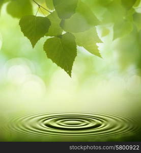 Abstract natural backgrounds. Green leaves with morning dew