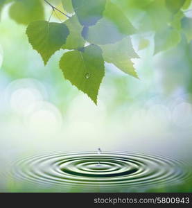 Abstract natural backgrounds. Green leaves with morning dew