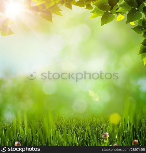 Abstract natural backgrounds with beauty bokeh