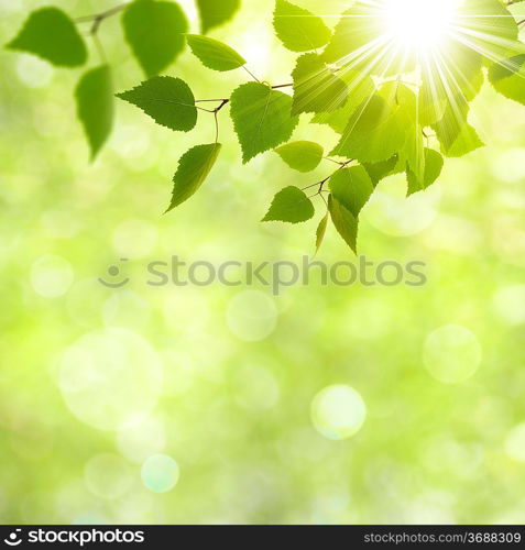 Abstract natural backgrounds with beauty bokeh