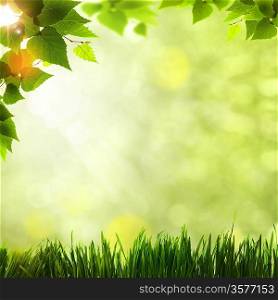 Abstract natural backgrounds with beauty bokeh for your design