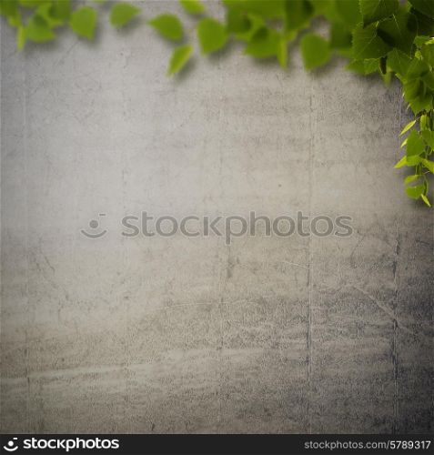 Abstract natural backgrounds with birch foliage against concrete wall