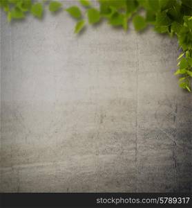 Abstract natural backgrounds with birch foliage against concrete wall