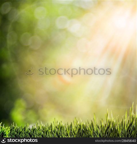 abstract natural backgrounds with glowing sunlight