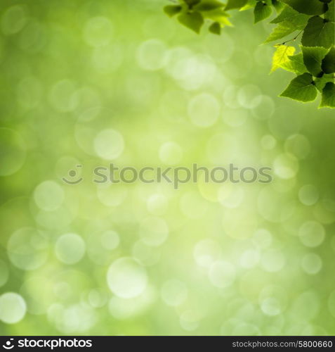 abstract natural backgrounds with green foliage and beauty bokeh