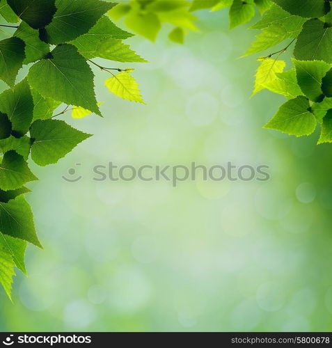 abstract natural backgrounds with green foliage and beauty bokeh