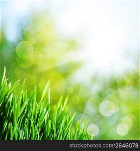 Abstract natural backgrounds with green grass and sunbeam