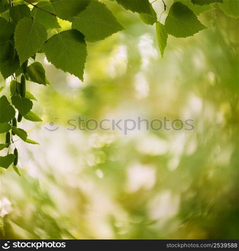 Abstract natural backgrounds with petzval lens bokeh