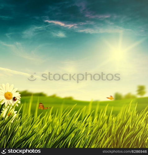 Abstract natural backgrounds with summer foliage and bright sunlight