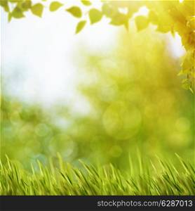 Abstract natural backgrounds with summer foliage and bright sunlight