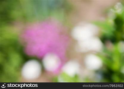 abstract natural green pink background. boke