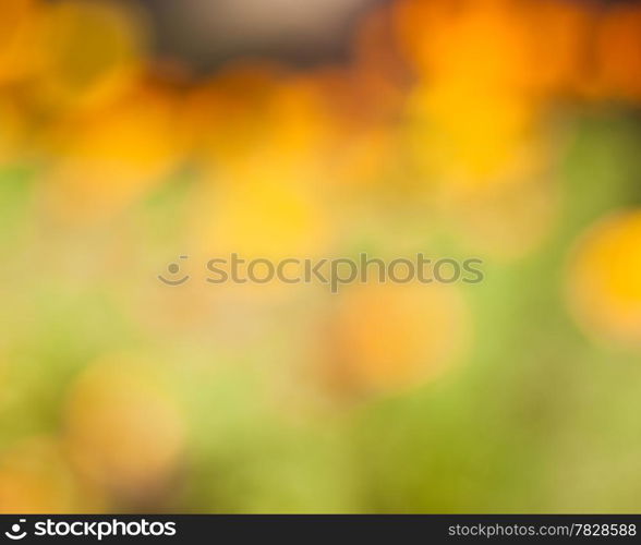 Abstract nature background, selective focus