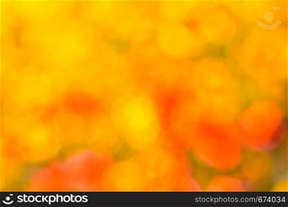 Abstract nature bokeh background in different shades of yellow- orange colors texture. Natural autumn yellow-orange boke background texture