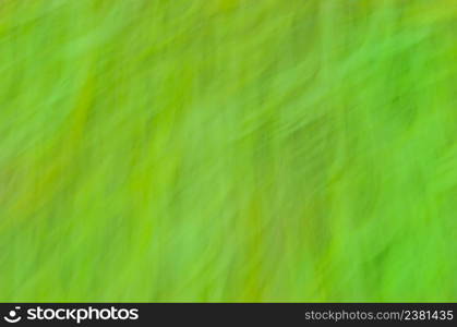 Abstract nature green background. Empty green bokeh and green leaf background.. Spring green bokeh background