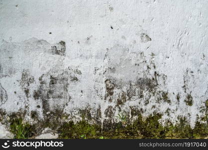 Abstract old dirty dark mossy plaster cement concrete wall texture copy space background