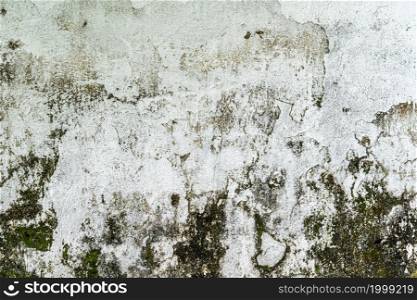 Abstract old dirty dark mossy plaster cement concrete wall texture copy space background