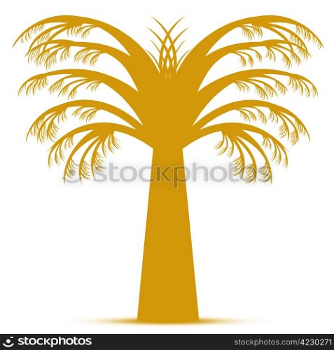 Abstract palm tree isolated on white background