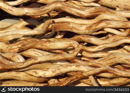 abstract pattern composed by twisted wooden trunks
