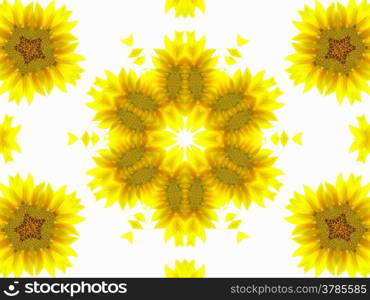 Abstract pattern of sunflower on white