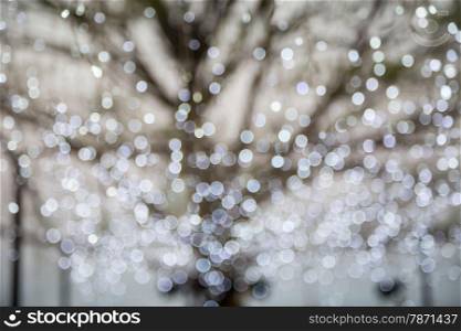 Abstract photo of winter tree and glitter bokeh lights, holiday and seasonal background