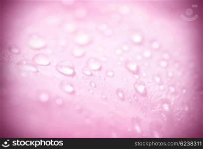 Abstract pink background, dew drops, romantic card, gentle flower petal with water drops, spring nature