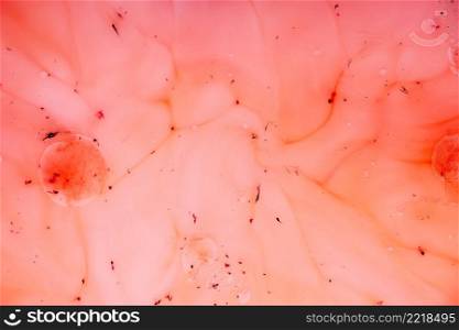 abstract pink flesh veins