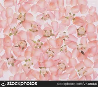 Abstract pink flower pattern