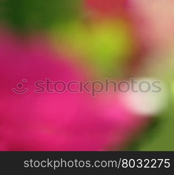 Abstract pink green colorful background . Abstract pink green colorful background copy space.