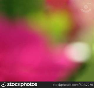 Abstract pink green colorful background . Abstract pink green colorful background copy space.