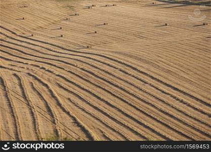 abstract pttern of corn field with straw bales with long shadows of setting sun nin the north ofn france